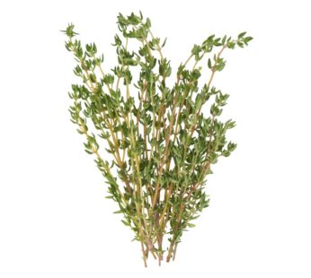 Jacks Fresh Cut Thyme