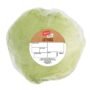 Jack's Iceberg Lettuce Single