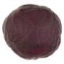Jack's Red Cabbage