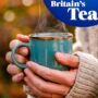 Tetley-Original-120-Teabags-375G
